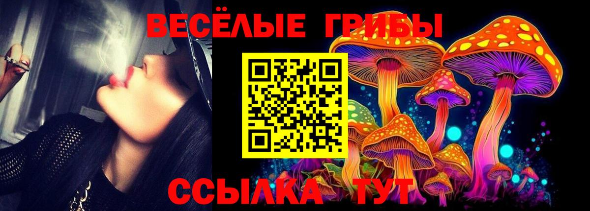 Галлюциногенные грибы MAGIC MUSHROOMS  Вход с VPN  Псилоцибиновые грибы Cubensis  Искитим 